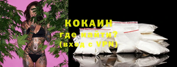 сатива Аркадак