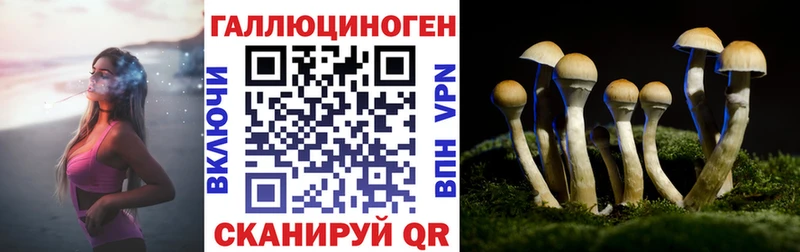 что такое   Переславль-Залесский  Псилоцибиновые грибы мицелий 