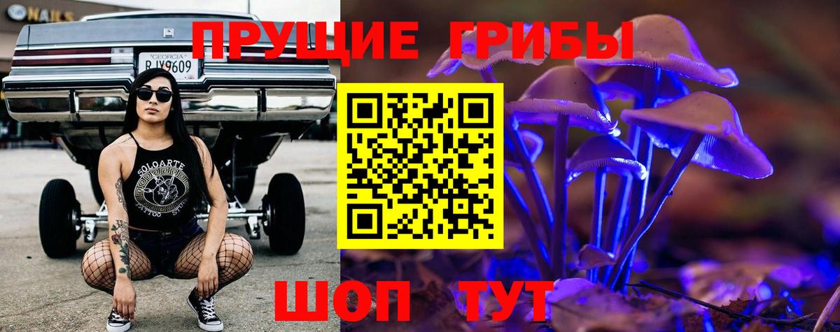Галлюциногенные грибы Psilocybine cubensis Переславль-Залесский